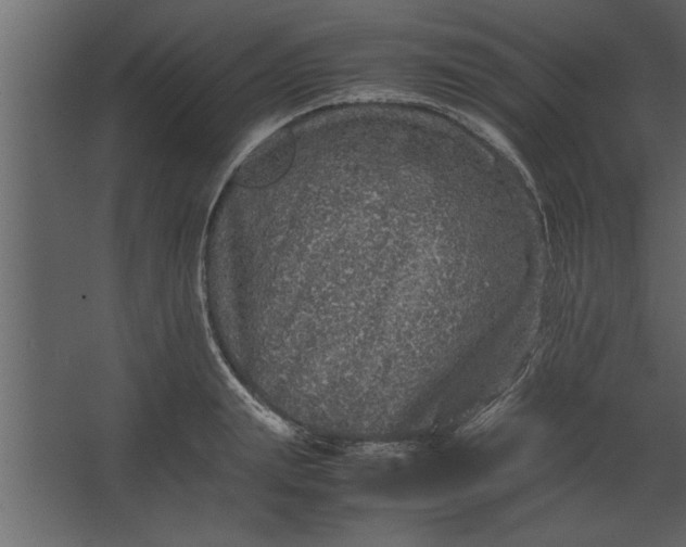 X0000067460847200604211539