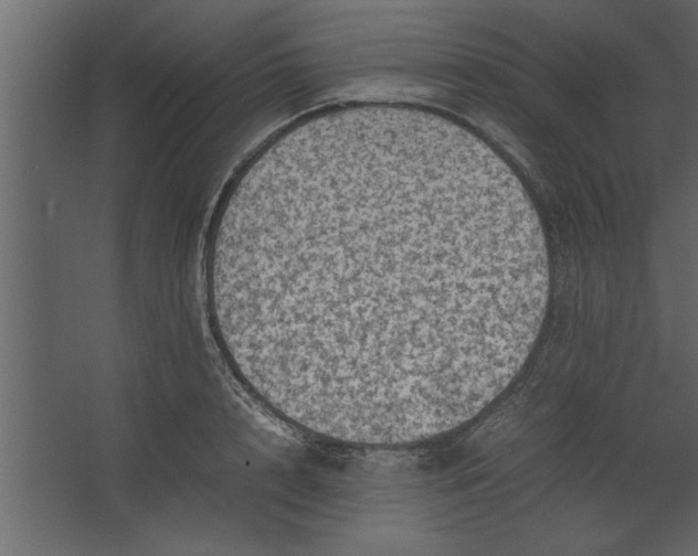 X0000067460848200604211539