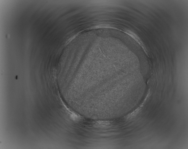 X0000067460849200604211539