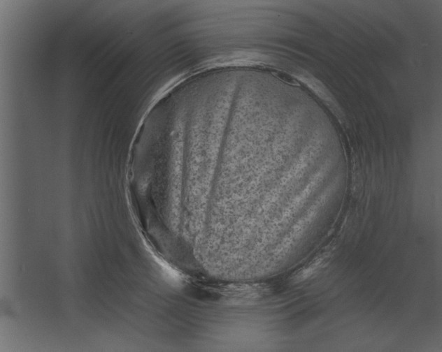 X0000067460850200604211539