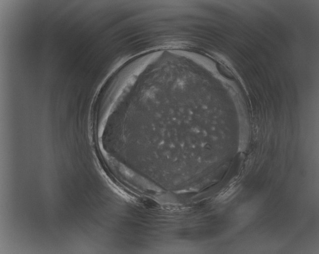 X0000067460851200604211539