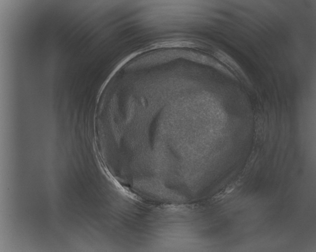 X0000067460852200604211539