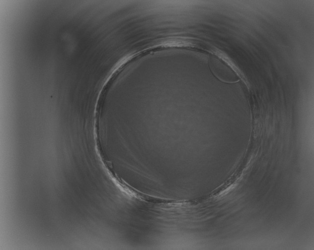 X0000067460853200604211539