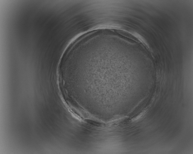 X0000067460854200604211539