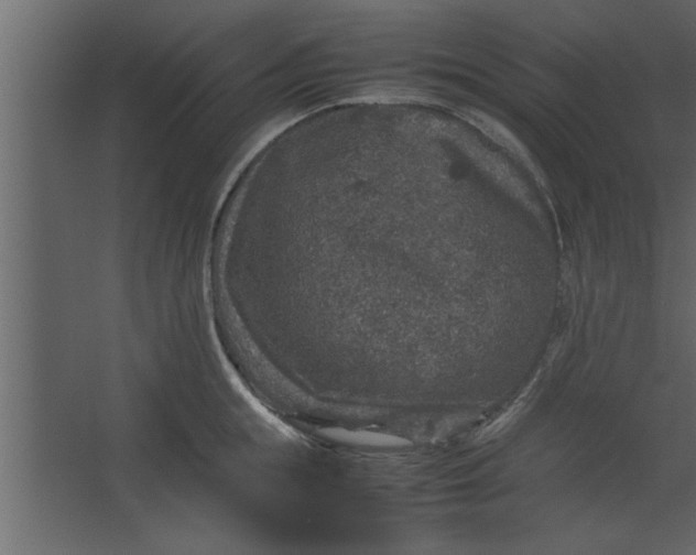 X0000067460855200604211539