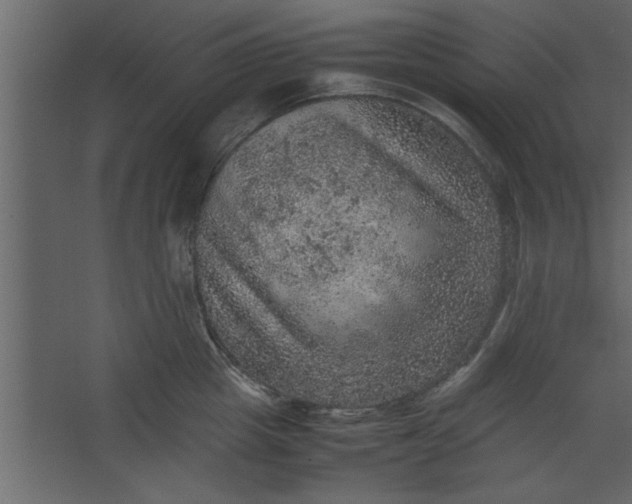 X0000067460857200604211539