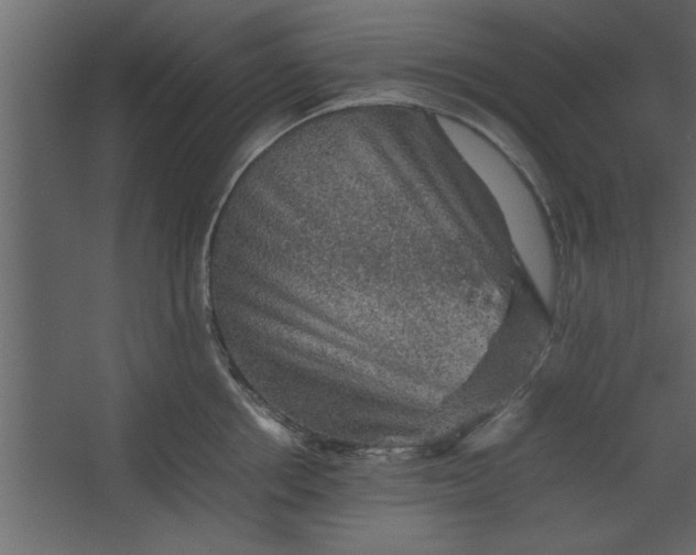 X0000067460858200604211539