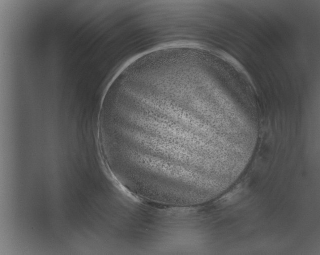 X0000067460860200604211539