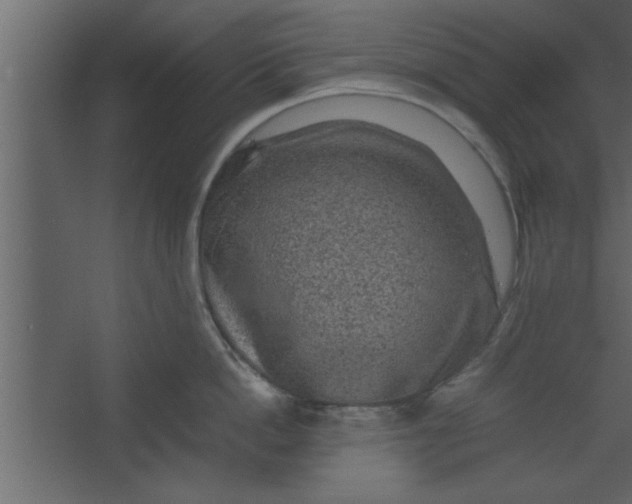 X0000067460862200604211539