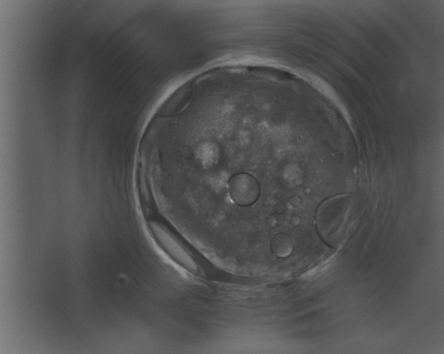 X0000067460863200604211539