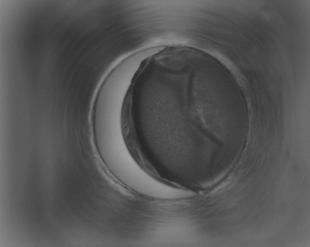 X0000067460864200604211539