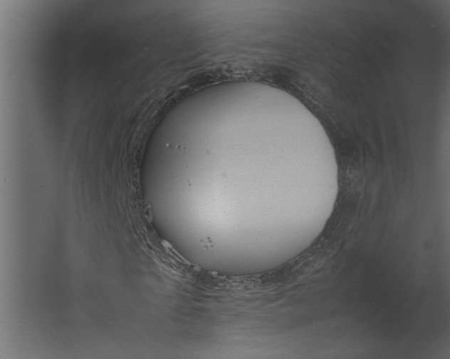 X0000067460865200604211538