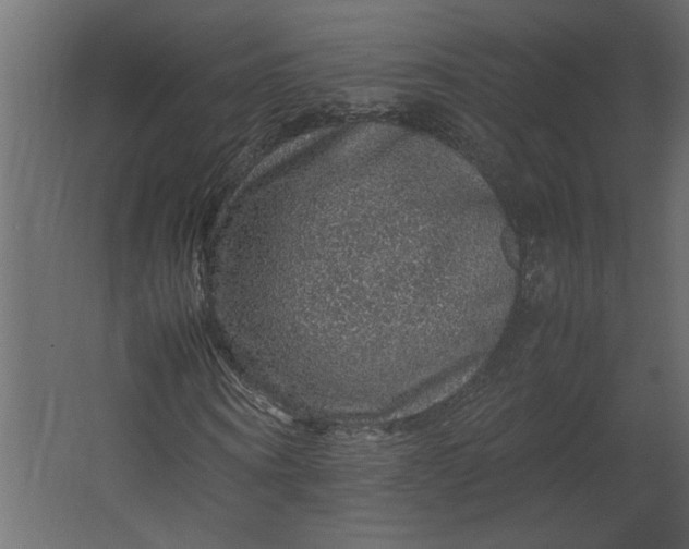 X0000067460866200604211538