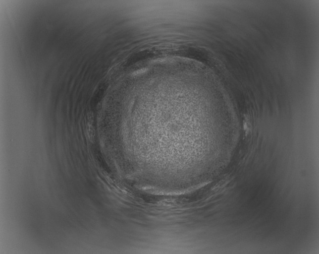 X0000067460867200604211538