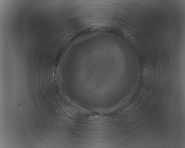 X0000067460868200604211538