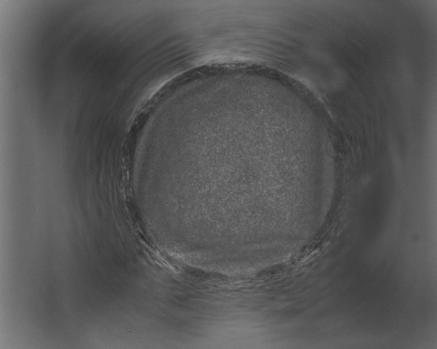 X0000067460871200604211538