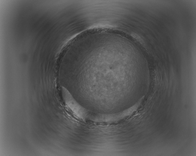 X0000067460872200604211538