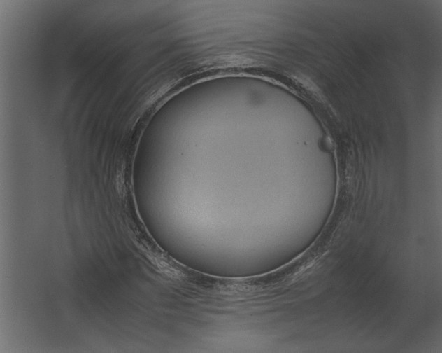 X0000067460873200604211538