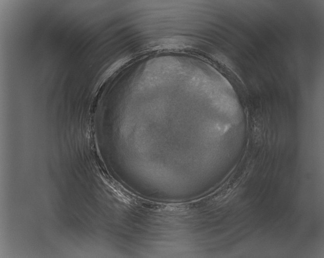 X0000067460874200604211538