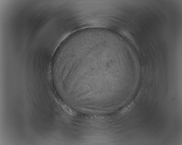 X0000067460875200604211538