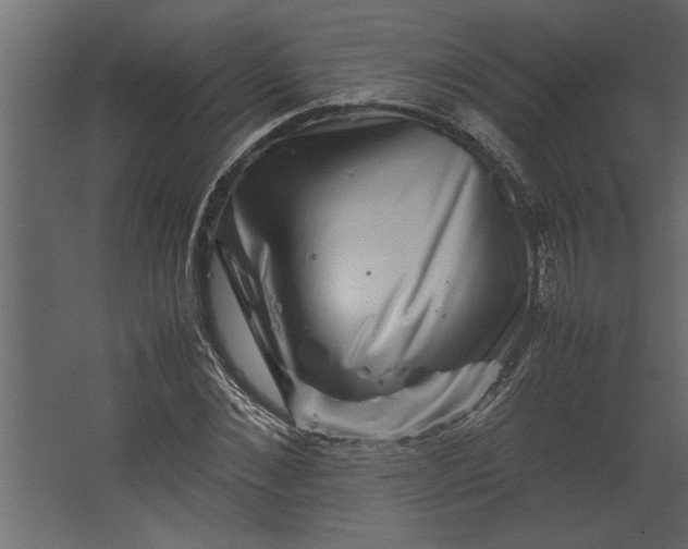 X0000067460876200604211538