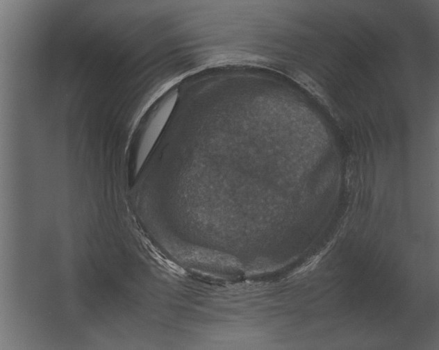 X0000067460877200604211538