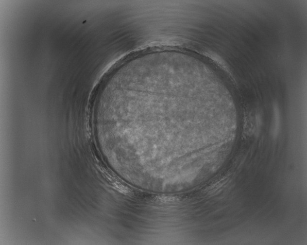 X0000067460878200604211538