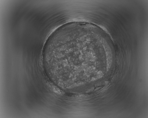 X0000067460879200604211538