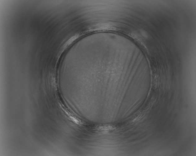 X0000067460882200604211538