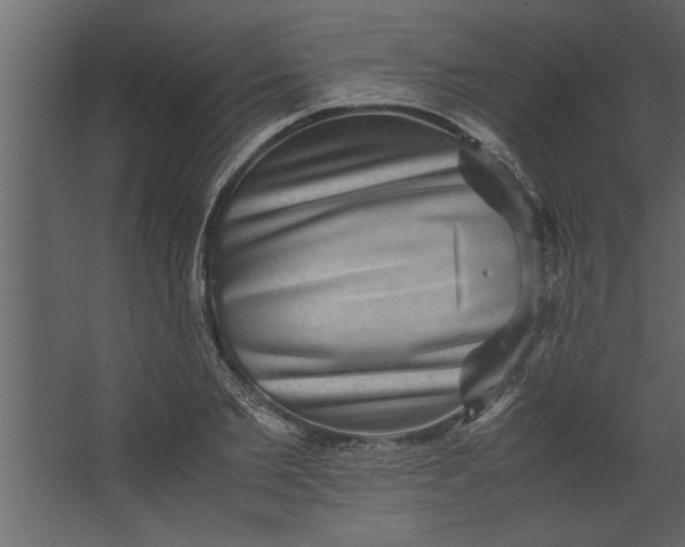 X0000067460885200604211538