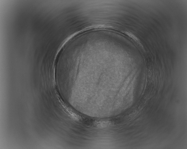 X0000067460886200604211538