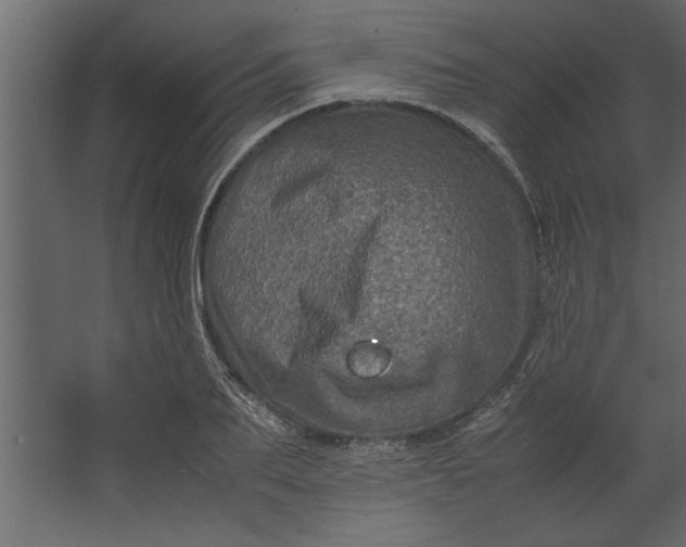 X0000067460887200604211538