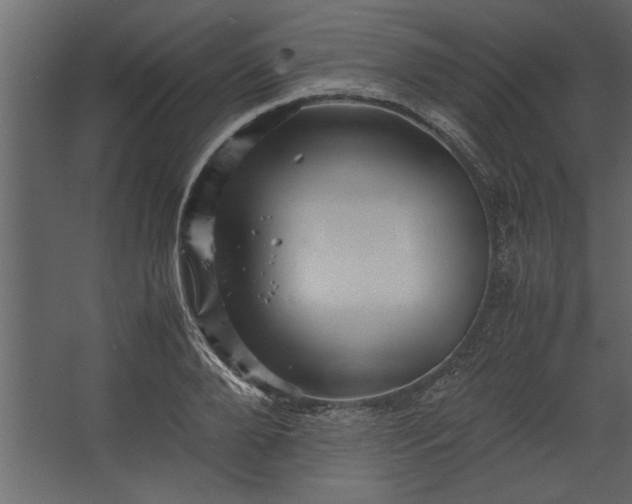 X0000067460888200604211538