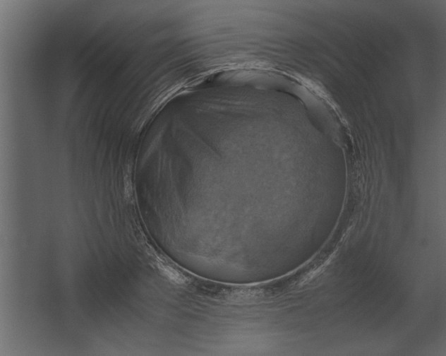 X0000067460889200604211538