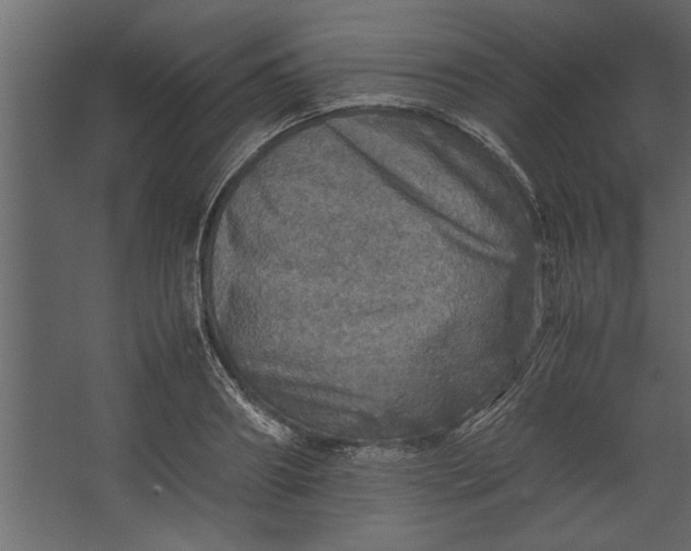 X0000067460890200604211538