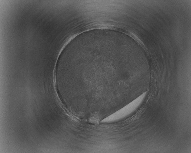 X0000067460891200604211538