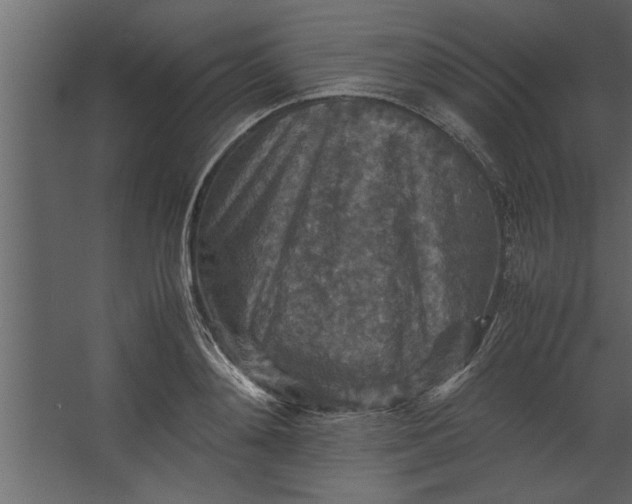 X0000067460892200604211538