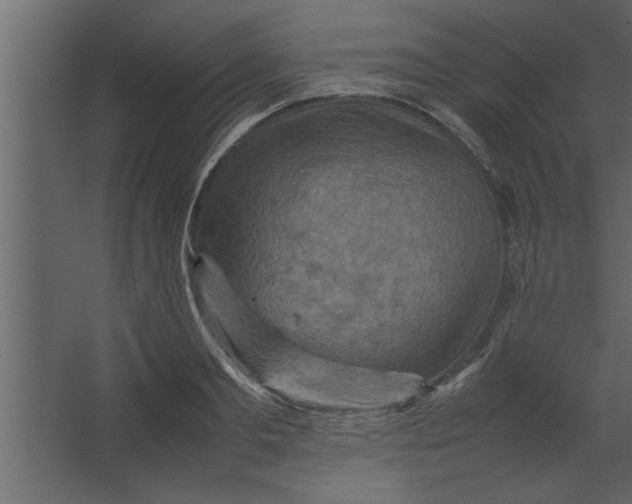 X0000067460893200604211538