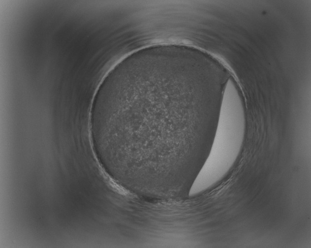 X0000067460895200604211538