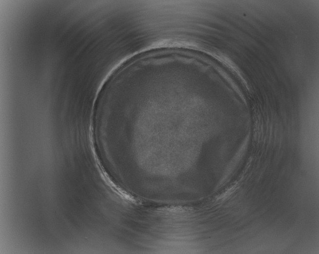 X0000067460896200604211538