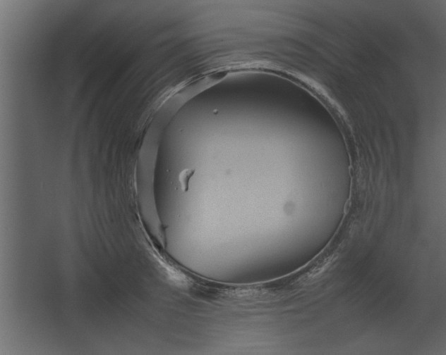 X0000067460897200604211538