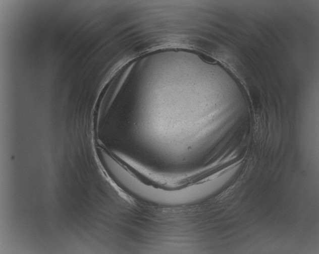 X0000067460898200604211538