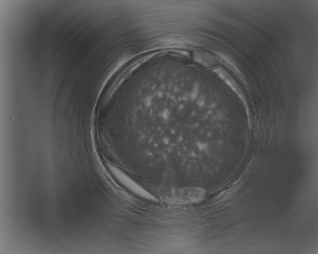 X0000067460899200604211538