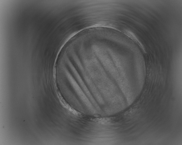 X0000067460900200604211538