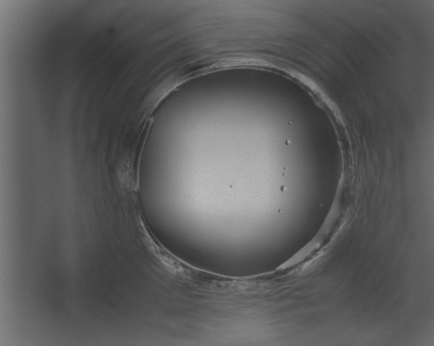 X0000067460905200604211538