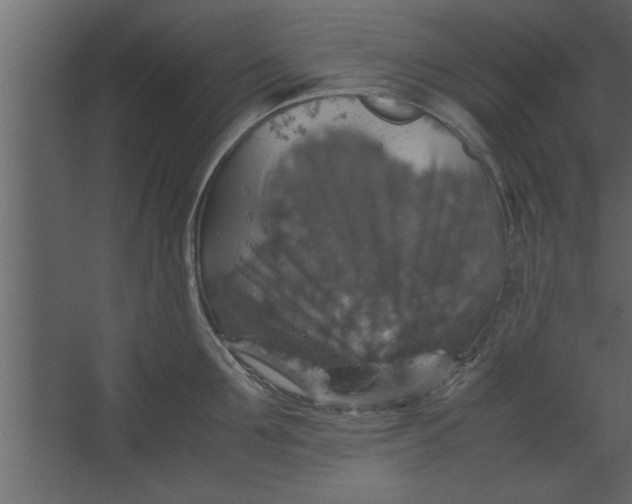 X0000067460907200604211538