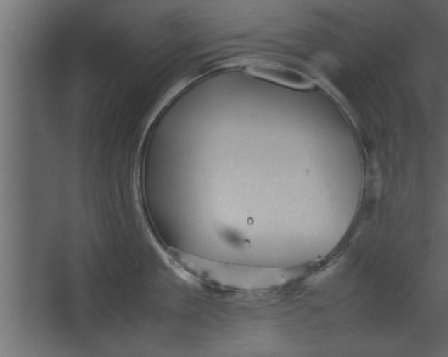 X0000067460909200604211538