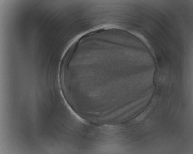 X0000067460910200604211538