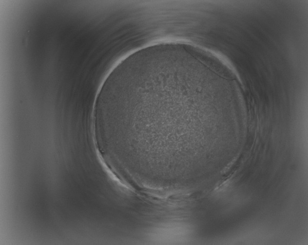 X0000067460911200604211538