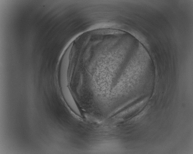 X0000067460912200604211538